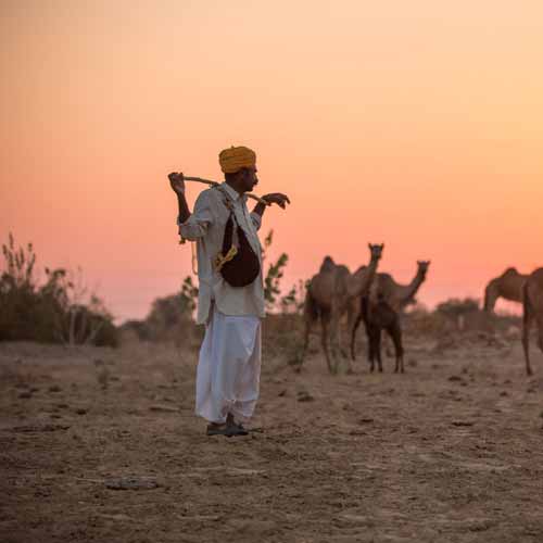 03 Days Jaisalmer Tour Package