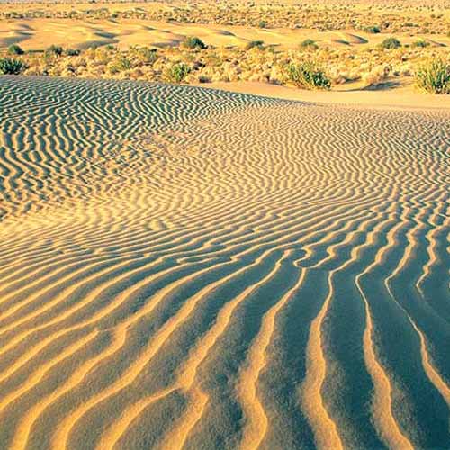 Khuri Sand Dunes Jaisalmer